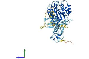 Protein Structure (PS) image for General Transcription Factor IIH, Polypeptide 2, 44kDa (GTF2H2) (AA 1-396) protein (His tag) (ABIN7561542)