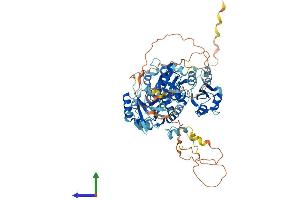 Protein Structure (PS) image for Epithelial Splicing Regulatory Protein 2 (ESRP2) (AA 1-727) protein (His tag) (ABIN7553859)
