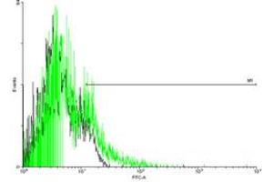 FACS analysis of negative control 293 cells (Black) and F2R expressing 293 cells (Green) using F2R purified MaxPab mouse polyclonal antibody. (PAR1 抗体  (AA 1-425))