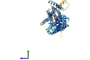 AlphaFold protein structure predicition of Human Recombinant LMBRD1 Protein, UniprotID Q9NUN5
