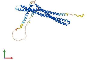 Protein Structure (PS) image for ADP-Ribosylation Factor Interacting Protein 2 (ARFIP2) (AA 1-341) protein (His tag) (ABIN7559489)