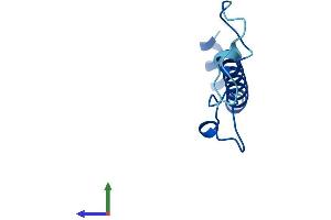 Protein Structure (PS) image for NADH Dehydrogenase (Ubiquinone) 1 alpha Subcomplex, 4 (NDUFA4) (AA 1-81) protein (Fc Tag) (ABIN7549750)