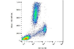 Surface staining (flow cytometry) of human peripheral blood with anti-CD116 (4H1) PE. (CSF2RA 抗体  (PE))