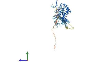 Protein Structure (PS) image for Septin 10 (SEPT10) (AA 1-452) protein (His tag) (ABIN7559166)
