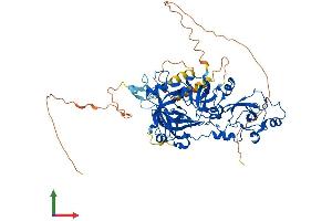 Protein Structure (PS) image for Mbt Domain Containing 1 (MBTD1) (AA 1-628) protein (His tag) (ABIN7549358)