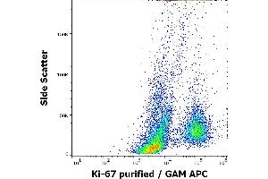 Flow cytometry intracellular staining pattern of human PHA stimulated peripheral whole blood stained using anti-human Ki-67 (Ki-67) purified antibody (concentration in sample 0. (Ki-67 抗体)