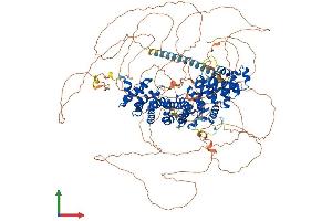 Protein Structure (PS) image for Plakophilin 4 (PKP4) (AA 1-1190) protein (His tag) (ABIN7564009)