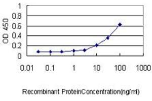 Detection limit for recombinant GST tagged UCHL1 is approximately 1ng/ml as a capture antibody. (UCHL1 抗体  (AA 1-223))