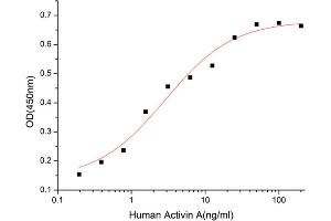 Activin A (ACVA) (AA 21-426) (Active) protein (His tag)