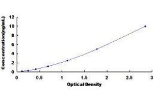 ELISA image for serpin Peptidase Inhibitor, Clade D (Heparin Cofactor), Member 1 (SERPIND1) ELISA Kit (ABIN414653)