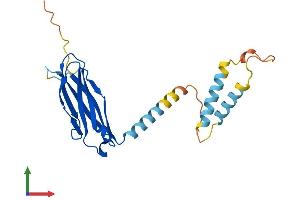 AlphaFold protein structure predicition of Human Recombinant MOSPD1 Protein, UniprotID Q9UJG1