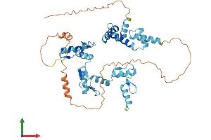 AlphaFold protein structure predicition of Human Recombinant ZSCAN31 Protein, UniprotID Q96LW9