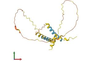 Protein Structure (PS) image for EP300 Interacting Inhibitor of Differentiation 1 (EID1) (AA 1-187) protein (His tag) (ABIN7547359)