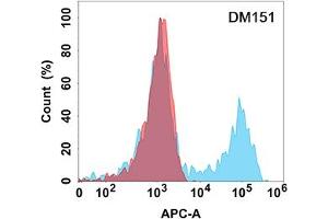 Flow cytometry analysis with Anti-TACI (DM151) on Expi293 cells transfected with human TACI (Blue histogram) or Expi293 transfected with irrelevant protein (Red histogram). (TACI 抗体  (AA 2-166))