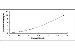 Typical standard curve (CRYAB ELISA 试剂盒)