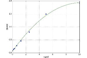 Transglutaminase 2 (C Polypeptide, Protein-Glutamine-gamma-Glutamyltransferase) (TGM2) ELISA Kit
