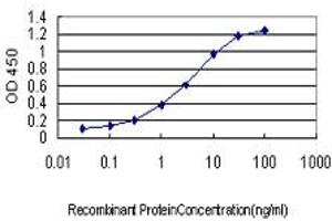 Detection limit for recombinant GST tagged PTK2 is approximately 0. (FAK 抗体  (AA 355-490))