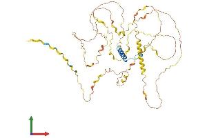Protein Structure (PS) image for Fibrosin (FBS) (AA 1-460) protein (His tag) (ABIN7547625)