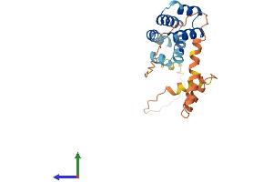 Protein Structure (PS) image for Caspase Recruitment Domain Family, Member 16 (CARD16) (AA 1-197) protein (His tag) (ABIN7552897)