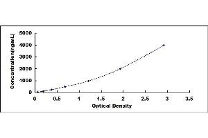 Typical standard curve (ORM1 ELISA 试剂盒)