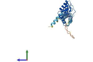 Protein Structure (PS) image for E3 SUMO-Protein Ligase NSE2 (NSMCE2) (AA 1-247) protein (His tag) (ABIN7554766)