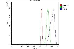 Flow Cytometry analysis of Hela cells using anti-MSH6 antibody (ABIN7601449). (MSH6 抗体  (AA 357-388))