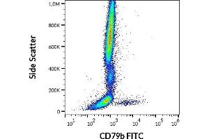Flow cytometry surface staining pattern of human peripheral whole blood stained using anti-human CD79b (CB3-1) FITC antibody (4 μL reagent / 100 μL of peripheral whole blood). (CD79b 抗体  (FITC))