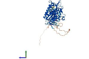 Protein Structure (PS) image for Suppressor of Fused Homolog (SUFUH) (AA 1-484) protein (His tag) (ABIN7555666)