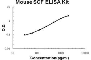 Mouse SCF PicoKine ELISA Kit standard curve (KIT Ligand ELISA 试剂盒)