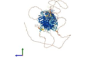 Protein Structure (PS) image for Solute Carrier Family 12 (Potassium-Chloride Transporter) Member 2 (SLC12A2) (AA 1-1212) protein (His tag) (ABIN7555291)