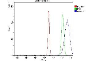 Flow Cytometry analysis of HEPA1-6 cells using anti-ZIP Kinase/Dapk3 antibody (ABIN7601147).