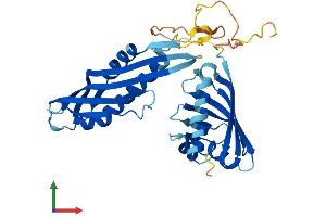 Protein Structure (PS) image for Activator of HSP90 ATPase Activity 1 (AHSA1) (AA 1-338) protein (His tag) (ABIN7558715)