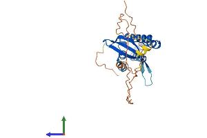 AlphaFold protein structure predicition of Human Recombinant PXDC1 Protein, UniprotID Q5TGL8