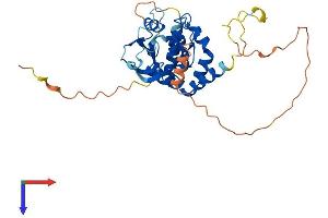TSR3 20S rRNA Accumulation (TSR3) (AA 1-312) protein (His tag)