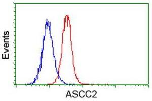 Flow cytometric Analysis of Hela cells, using anti-ASCC2 antibody (ABIN2454505), (Red), compared to a nonspecific negative control antibody, (Blue). (ASCC2 抗体)