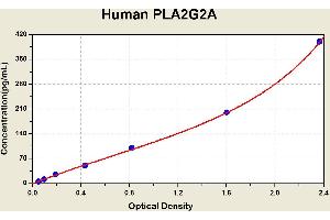 Diagramm of the ELISA kit to detect Human PLA2G2Awith the optical density on the x-axis and the concentration on the y-axis. (PLA2G2A ELISA 试剂盒)