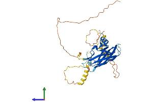 Protein Structure (PS) image for Protein Phosphatase 1, Regulatory Subunit 3C (PPP1R3C) (AA 1-317) protein (His tag) (ABIN7558209)