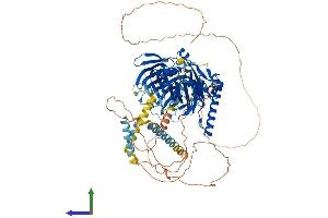 Protein Structure (PS) image for Oxysterol Binding Protein-Like 8 (OSBPL8) (AA 1-889) protein (His tag) (ABIN7554839)