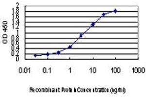 Detection limit for recombinant GST tagged FOXA2 is approximately 0. (FOXA2 抗体  (AA 363-457))