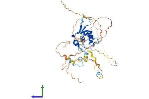 Protein Structure (PS) image for Forkhead Box H1 (FOXH1) (AA 1-401) protein (His tag) (ABIN7562640)