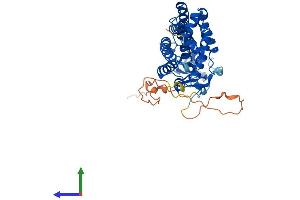 Protein Structure (PS) image for Vitamin D Receptor (VDR) (AA 1-427) protein (His tag) (ABIN7545027)