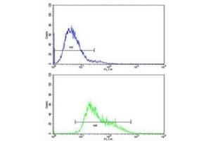 Flow cytometric analysis of CEM cells using IGHA1 antibody (bottom histogram) compared to a negative control (top histogram). (IGHA1 抗体  (AA 257-286))