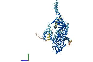 Protein Structure (PS) image for ATP-Binding Cassette, Sub-Family F (GCN20), Member 2 (ABCF2) (AA 1-623) protein (His tag) (ABIN7551737)
