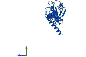 Protein Structure (PS) image for Glutathione Peroxidase 8 (GPX8) (AA 1-209) protein (His tag) (ABIN7561077)