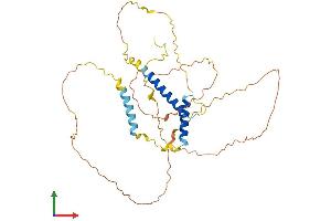 Protein Structure (PS) image for Spermatogenesis and Oogenesis Specific Basic Helix-Loop-Helix 1 (SOHLH1) (AA 1-357) protein (His tag) (ABIN7557936)