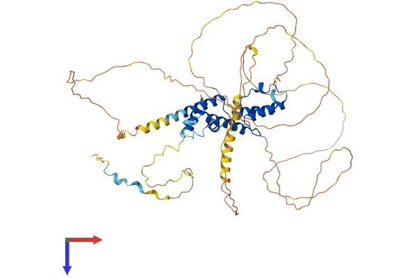 HIRIP3 Protein (AA 1-556) (His tag)