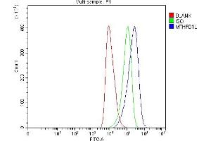 Flow Cytometry analysis of HEL cells using anti-MTHFD1L antibody (ABIN7601728). (MTHFD1L 抗体  (AA 43-833))