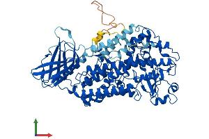 Protein Structure (PS) image for Arachidonate Lipoxygenase 3 (ALOXE3) (AA 1-711) protein (His tag) (ABIN7565226)