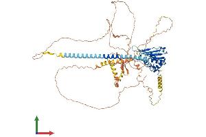 Protein Structure (PS) image for TSPY-Like 2 (TSPYL2) (AA 1-693) protein (His tag) (ABIN7544885)