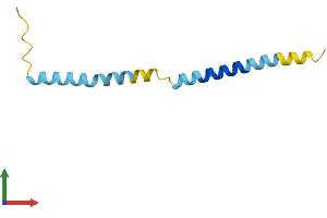 AlphaFold protein structure predicition of Mouse Recombinant Triqk Protein, UniprotID B2B9E1
